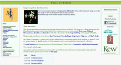 Desktop Screenshot of malawiflora.com