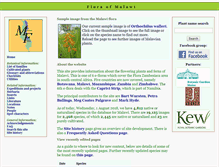 Tablet Screenshot of malawiflora.com